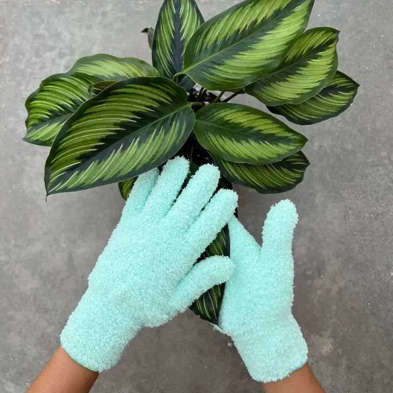Plant and Stories Gants Nettoyage Plante Microfibre Anti-calcaire Rose