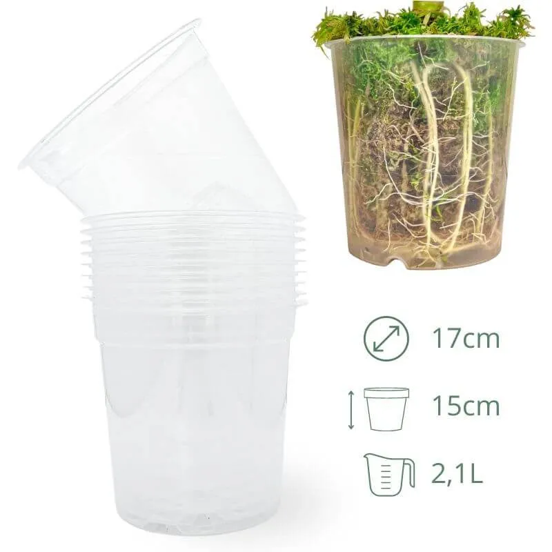 Plant and Stories Lot 10 pots transparents 12 cm