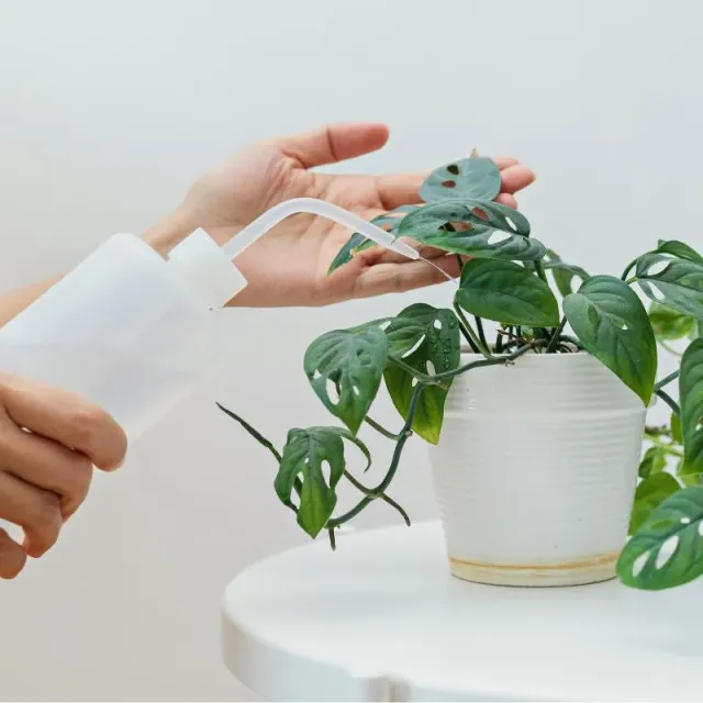 Plant and Stories poire arrosage graduée précision 250 mL