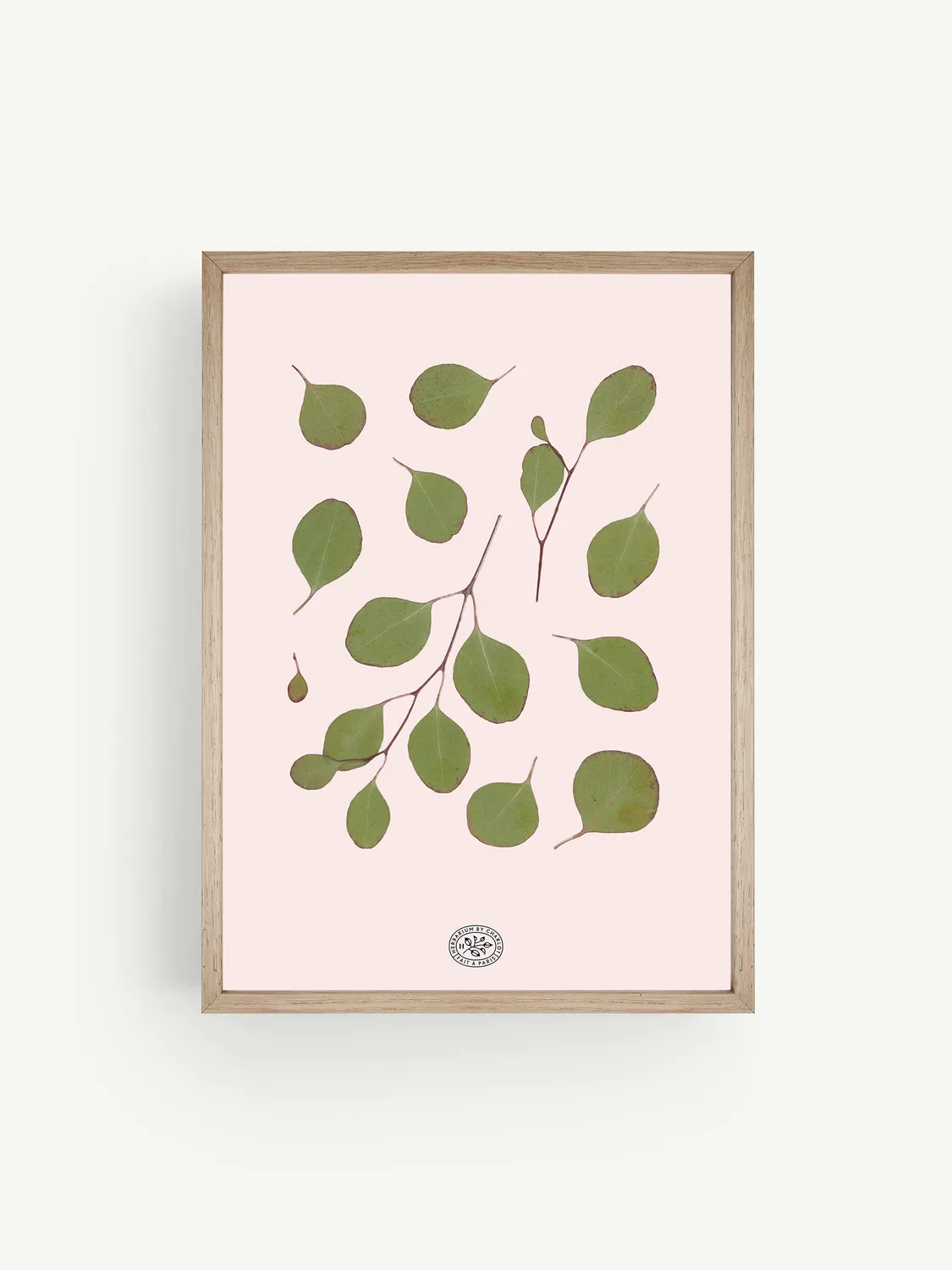 By Charlot Herbier Eucalyptus Rose tableau 21x30 rose