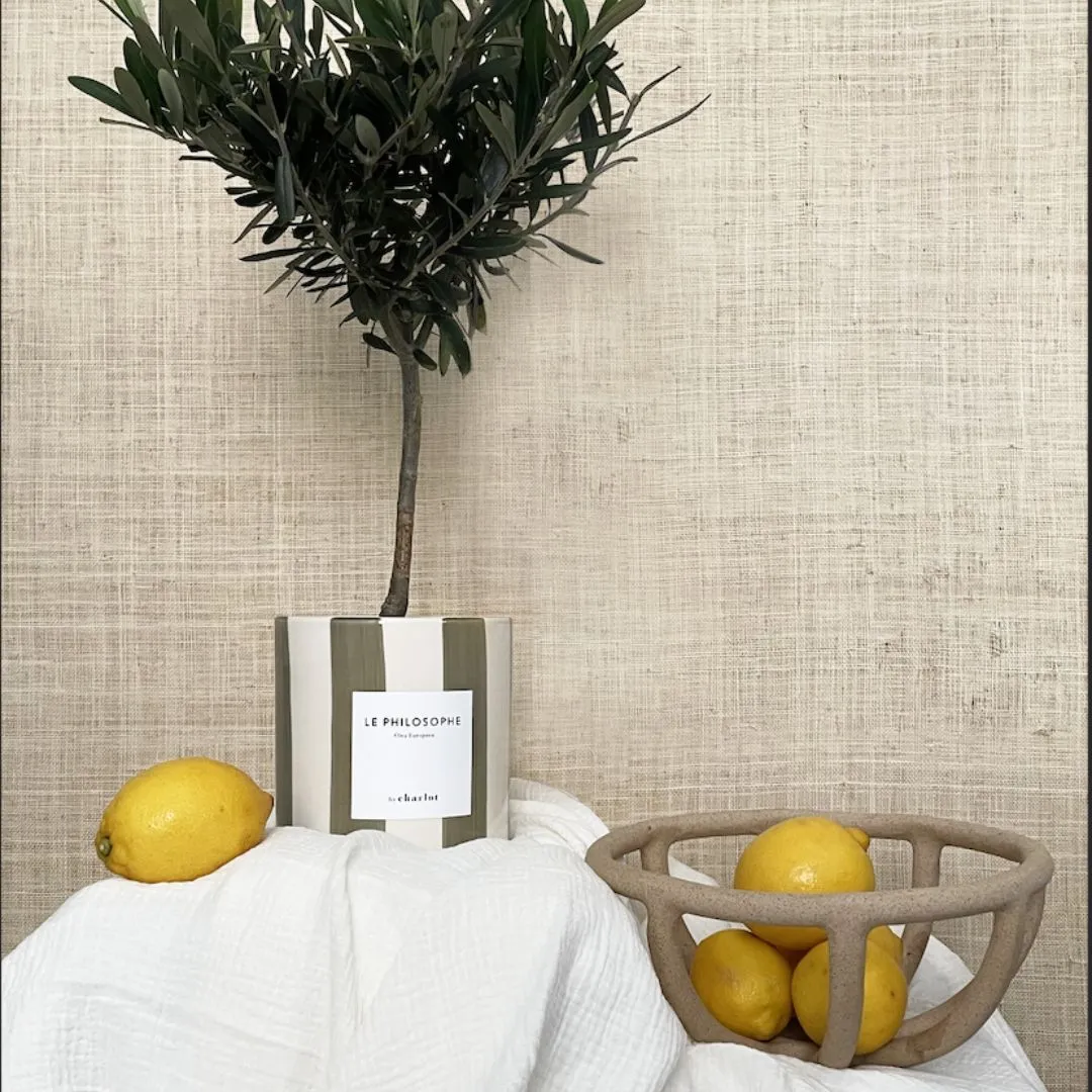 By Charlot Céramique rayée cache-pot olive 14 cm
