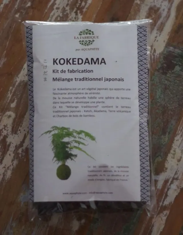 AQUAPHYTE Kit kokedama + plante à faire soi-même