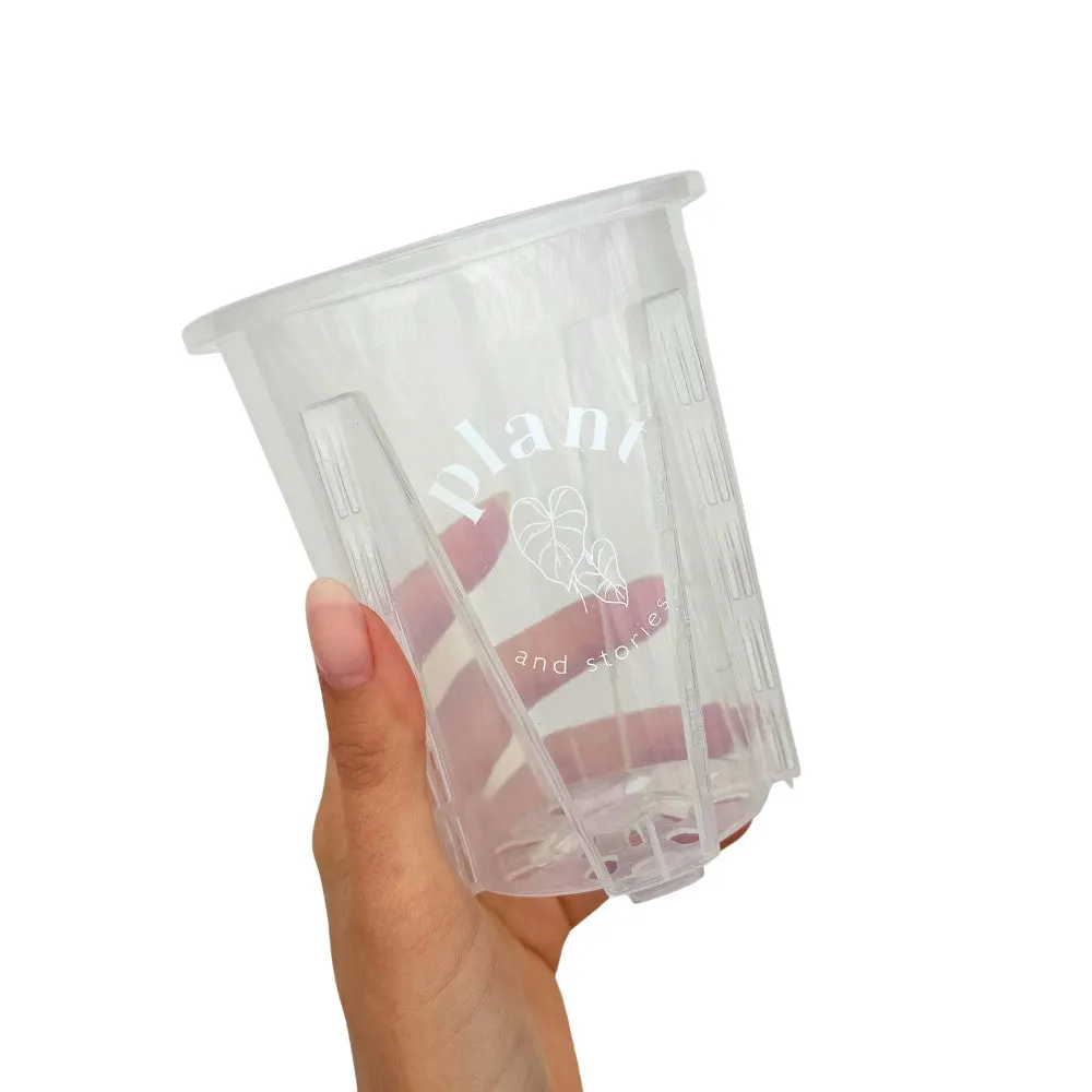 Plant and Stories Pot Aracées Transparent pot culture 10cm drainant