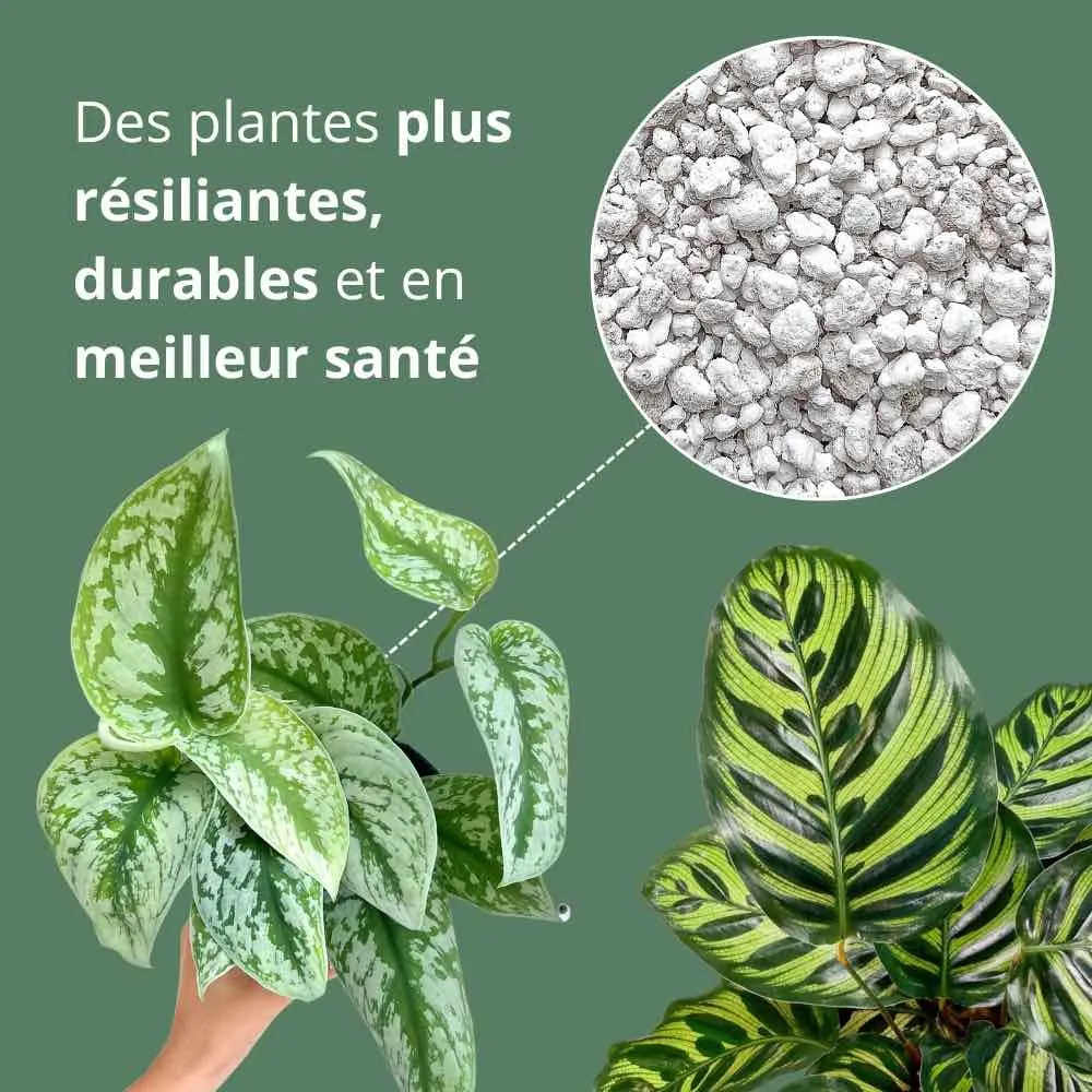 Plant and Stories perlite horticole substrat drainant 4L
