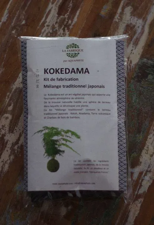 AQUAPHYTE Kit kokedama à faire soi-même complet
