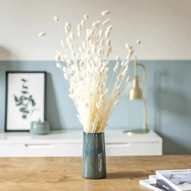 Réconciliation Végétale Phalaris bouquet séché blanc 150g