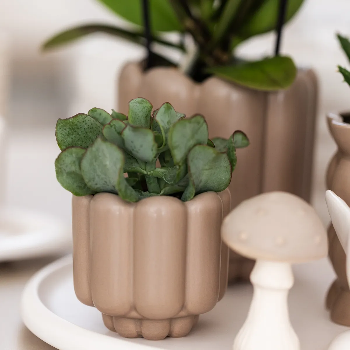 Plant and Stories cache-pot céramique mat 9 cm sable