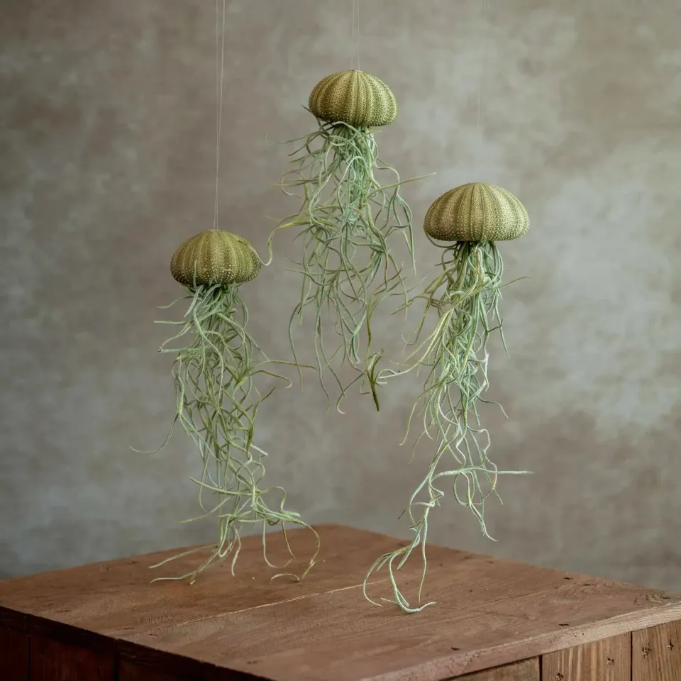 Airplantshop Jellyfish trio méduses vertes 5 cm