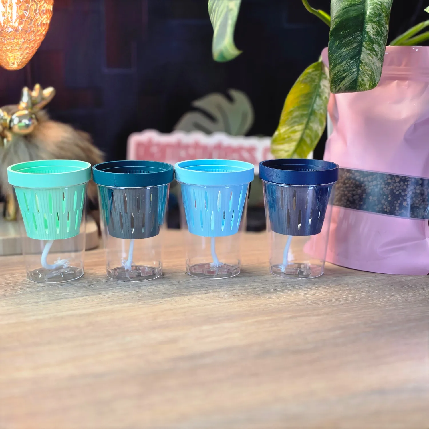 plant.ess MIDI SIPS pot auto-arrosant lot 4 Multi Color 8x6 cm