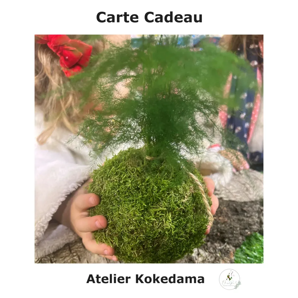Oh My Green Atelier Kokedama carte cadeau découverte