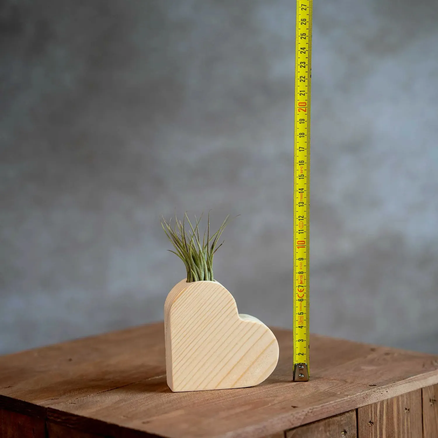 Airplantshop Cœur en Bois Plante Aérienne Tillandsia