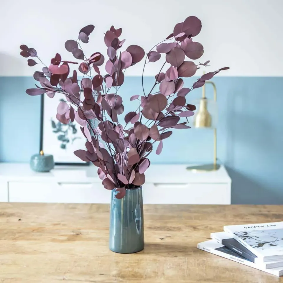 Réconciliation Végétale Eucalyptus populus botte 150g rouge