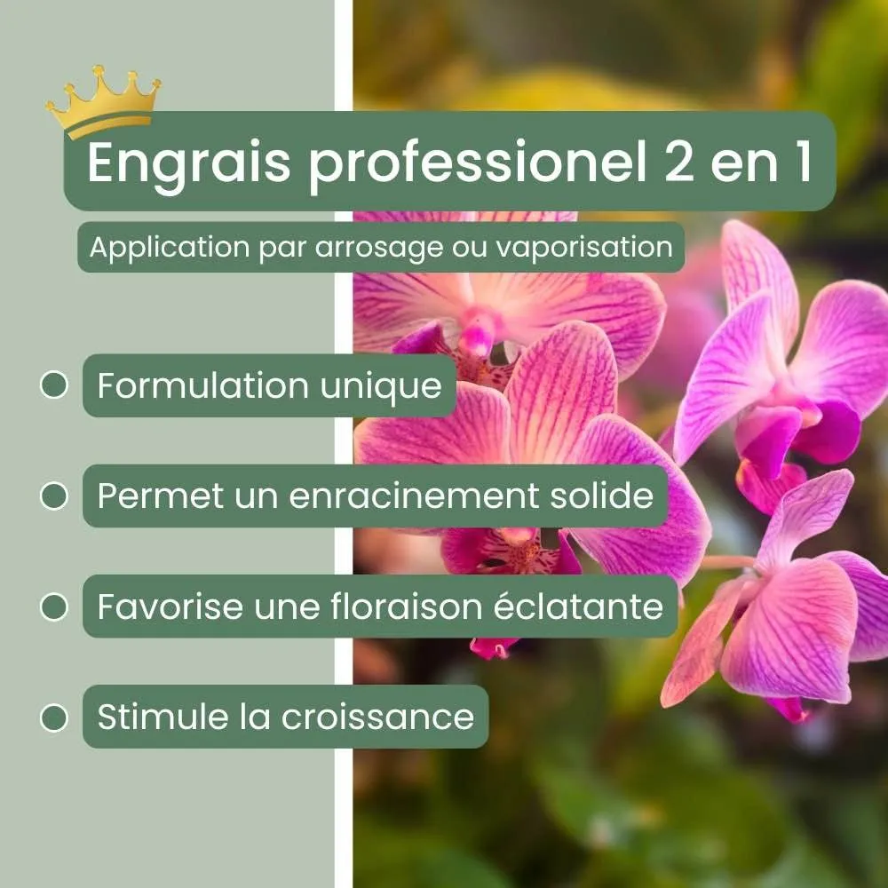 Plant and Stories Duo orchidée terreau 4L engrais 250ml écorce