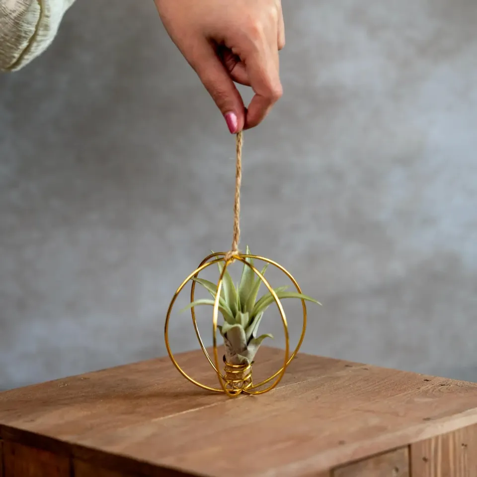 Airplantshop X-Mas Ball boule noldore plante arienne