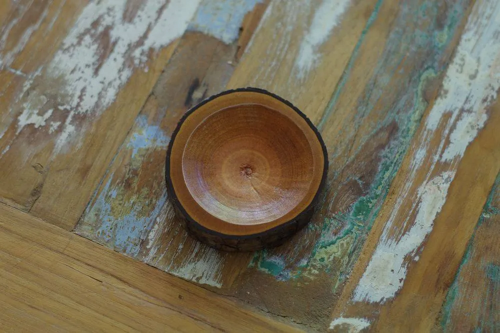 AQUAPHYTE Mahogany coupelle bois acajou Ichi Ni