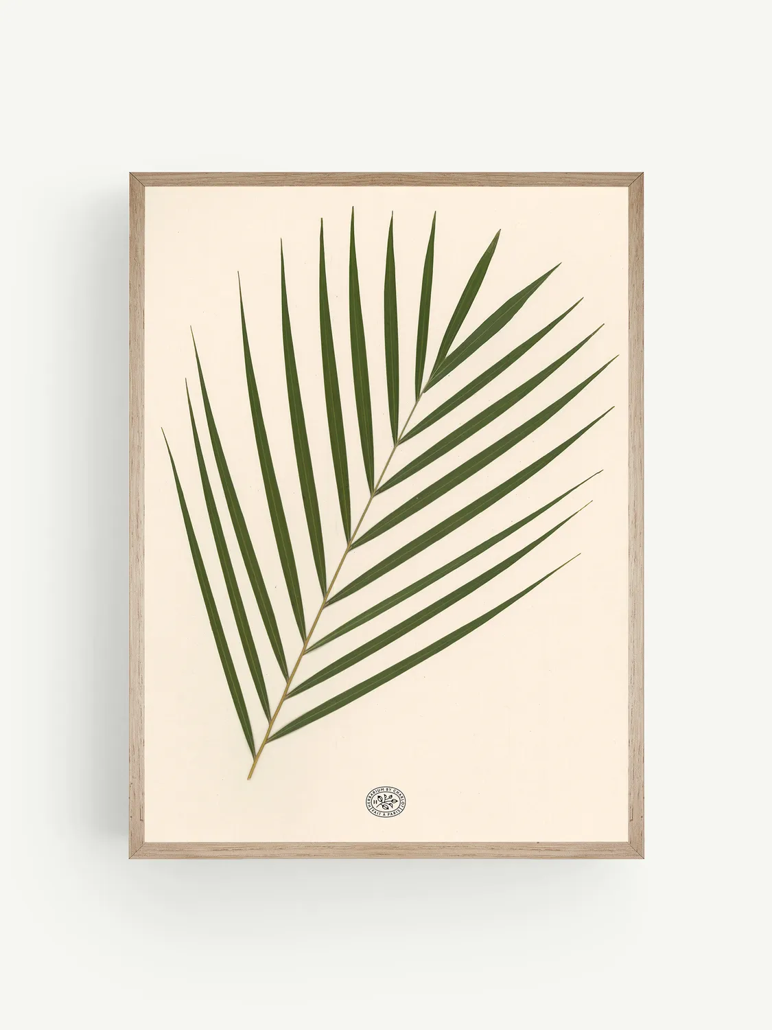 By Charlot herbier Palmier fond beige 30x40