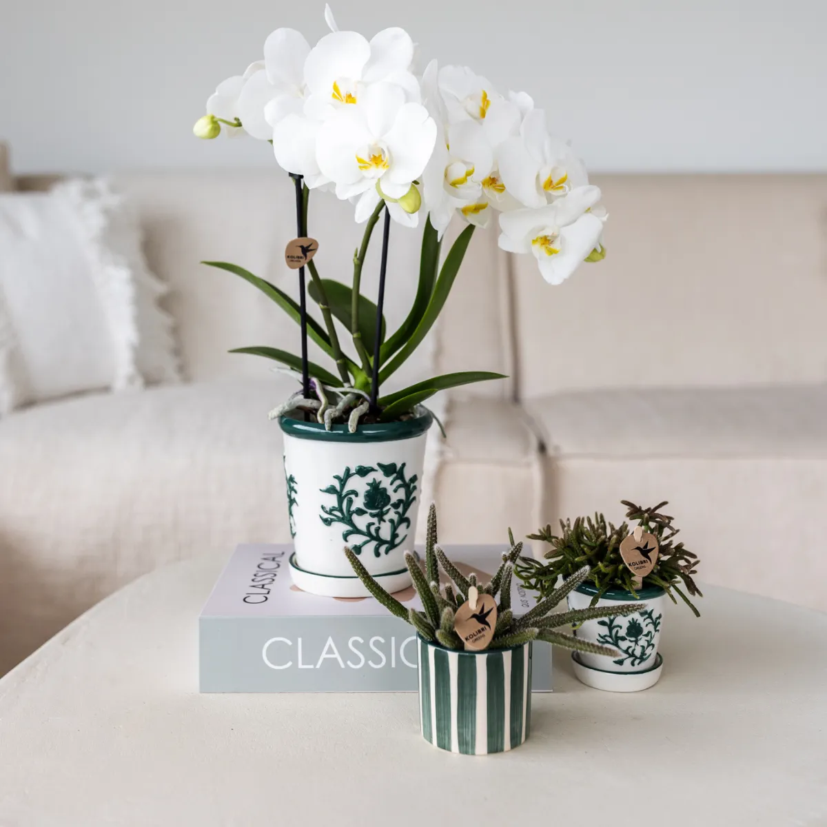 Plant and Stories Cache-pot céramique mat 9 cm pop
