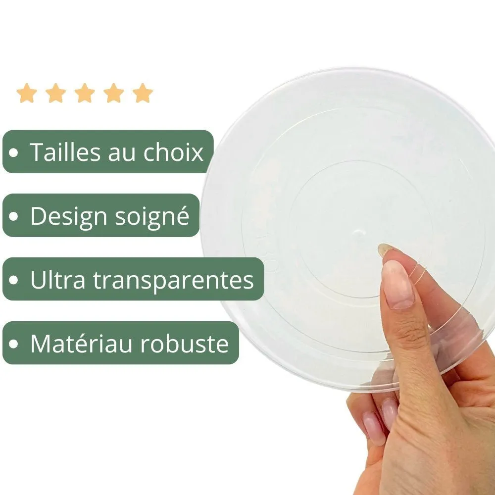 Plant and Stories Pack 50 soucoupes transparentes rigides pour plantes