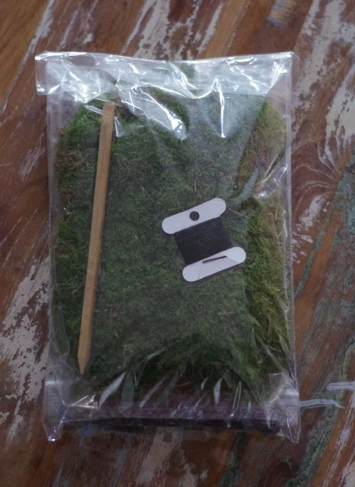 AQUAPHYTE Kit kokedama + plante à faire soi-même