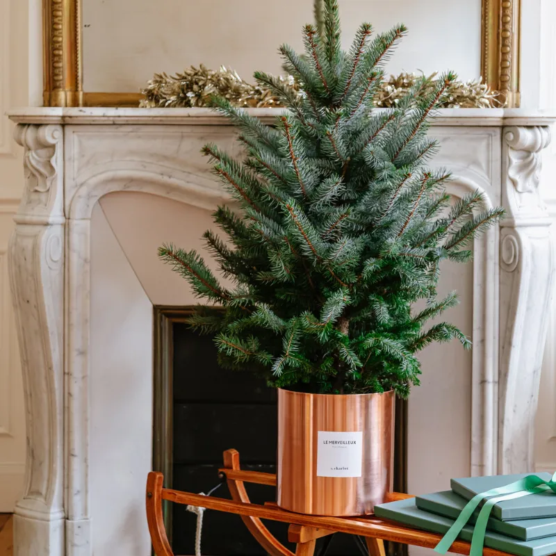 By Charlot Le Merveilleux sapin 120 cm pot 24 cm coffret