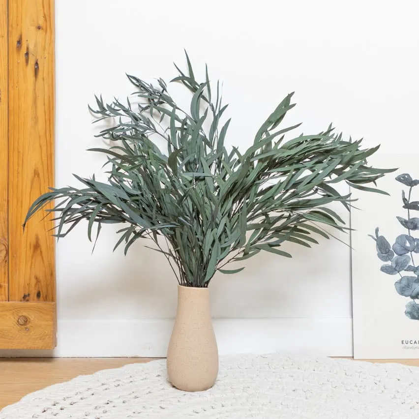 Réconciliation Végétale eucalyptus willow bouquet séché 150g vert