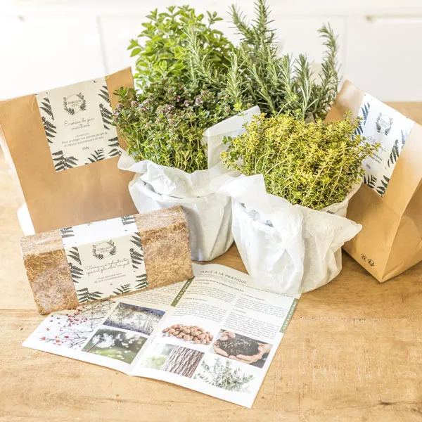 Réconciliation Végétale Kit Sèches aromatiques kit jardinage 4 plantes