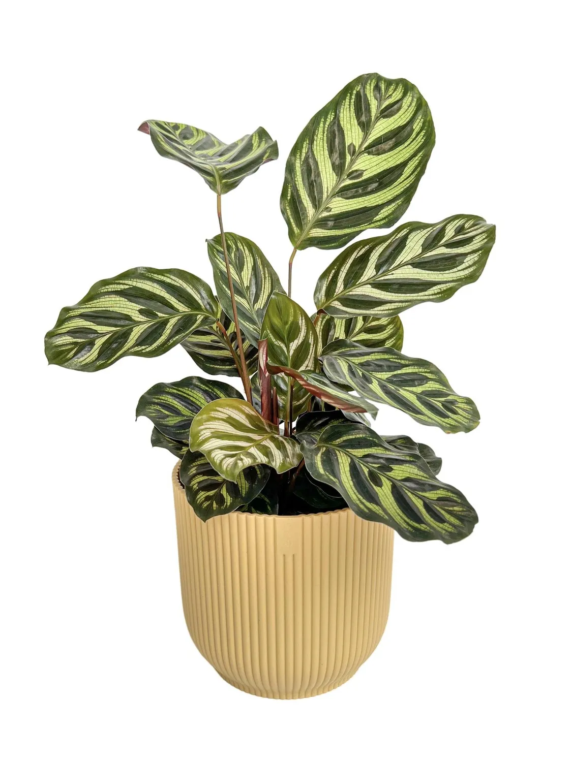 Elho Vibes Fold Rond cache-pot blanc soie 14 cm recyclé