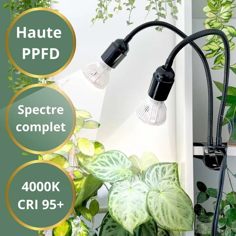 Plant and Stories Lampe horticole spectre complet 2 ampoules