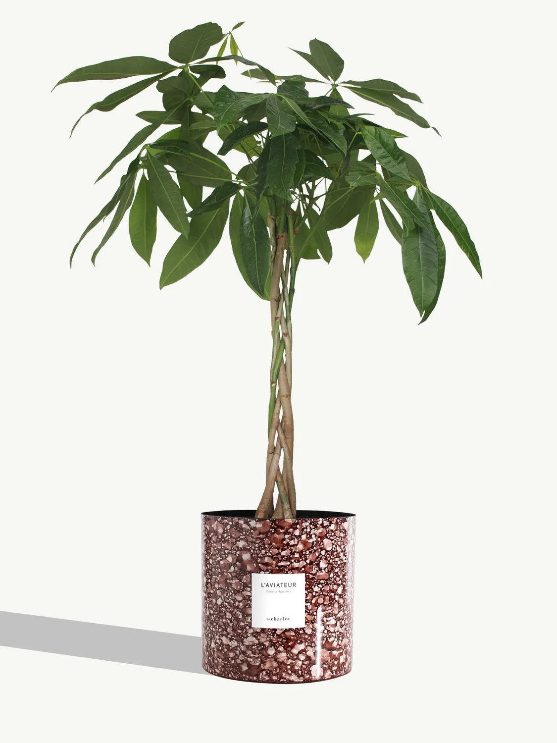By Charlot L'Aviateur grande plante pot métal L 100 cm