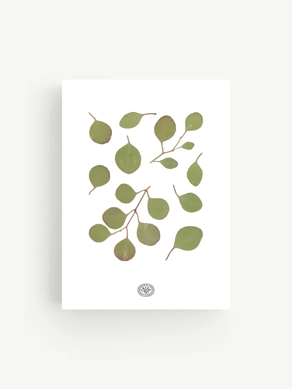 By Charlot herbier Eucalyptus Blanc 21x30 cm