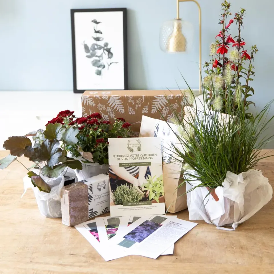 Réconciliation Végétale Kit jardinage balcon mi-ensoleillé 4 plantes