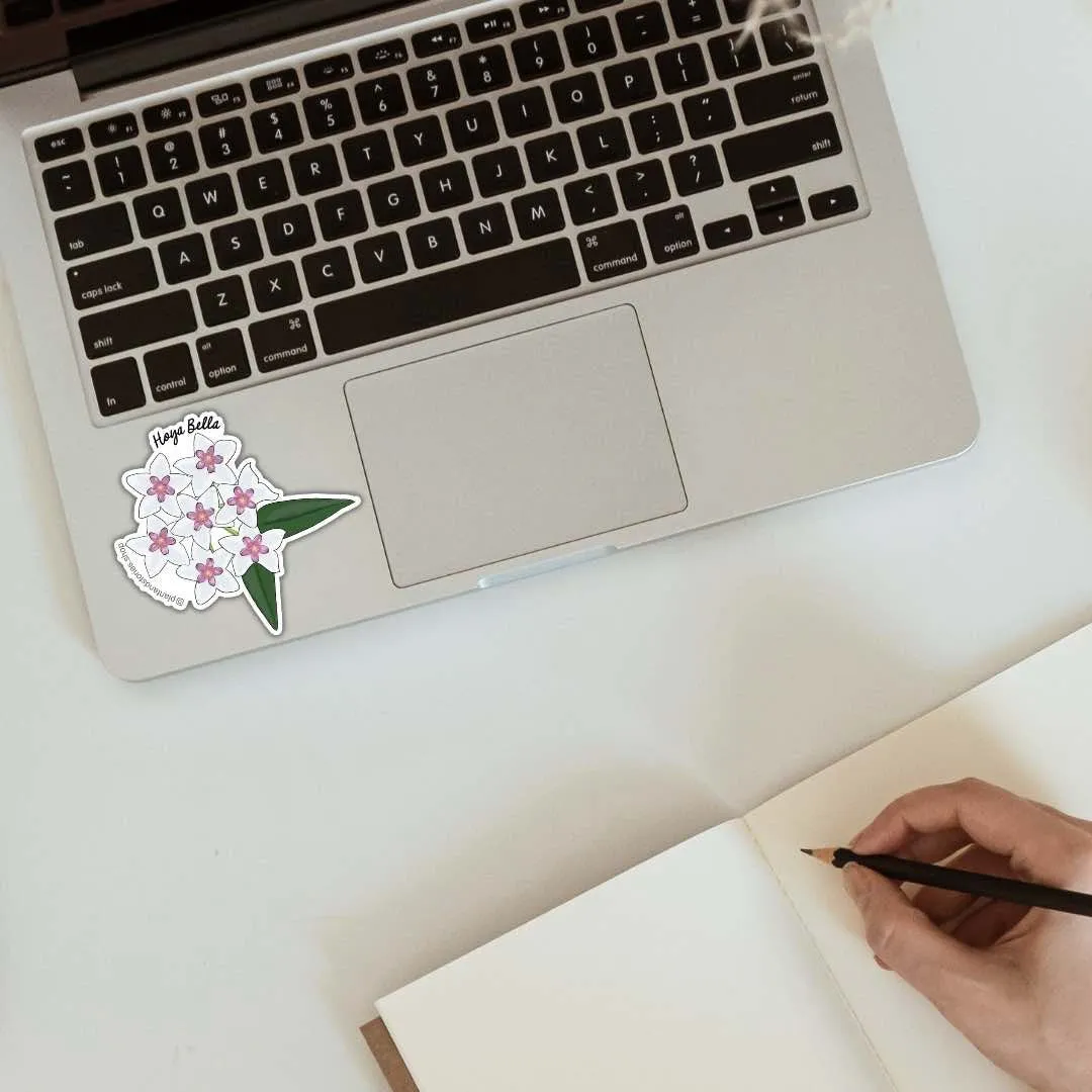 Plant and Stories Hoya Mathilde carte plante avec sticker