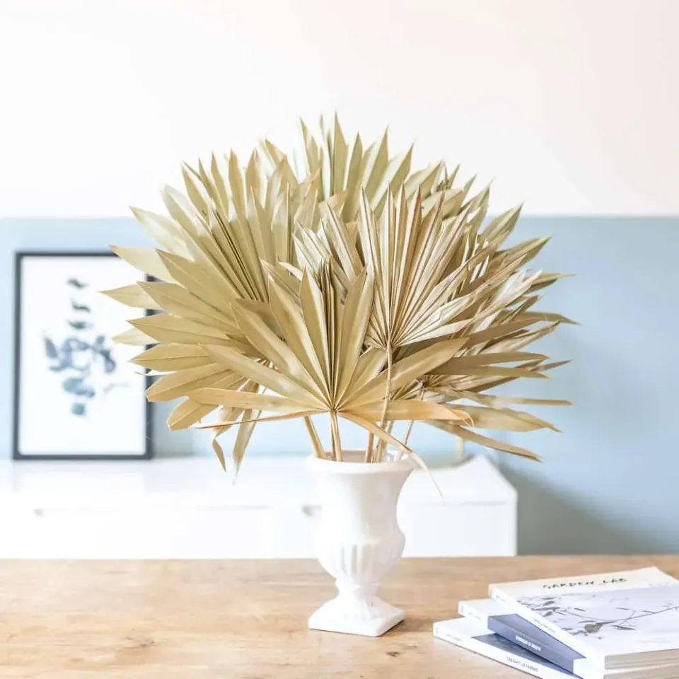 Réconciliation Végétale Palm Sun botte fleurs séchées 5 tiges naturel
