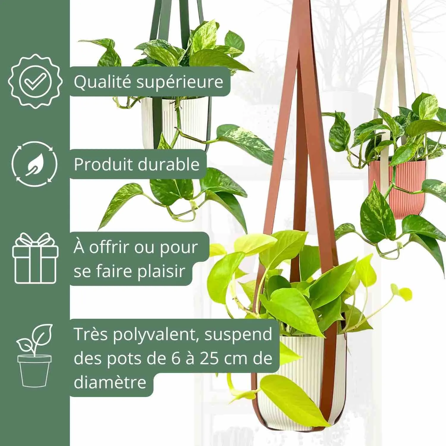 PLANT AND STORIES Duo suspensions similicuir plantes pot 15 cm blanc
