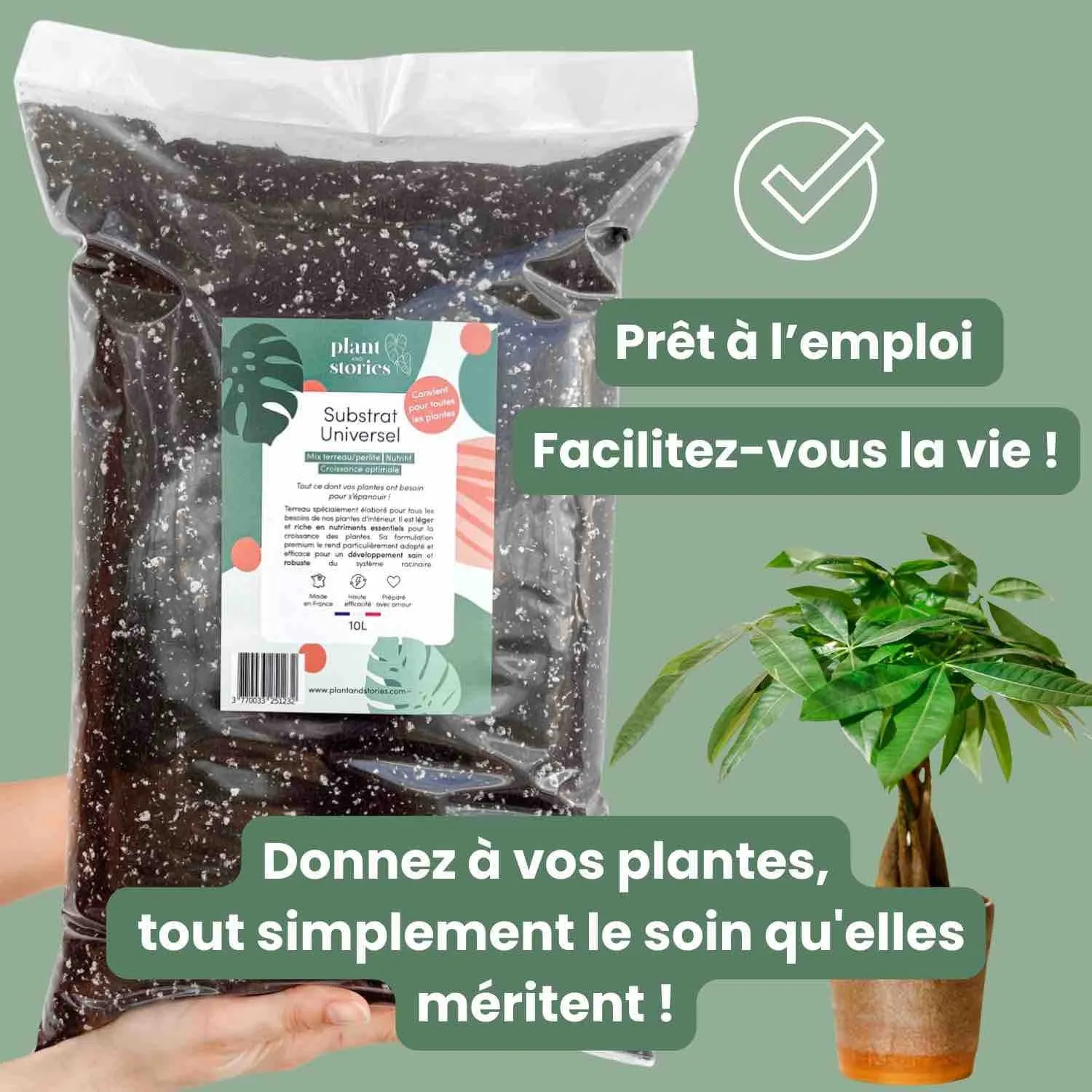Plant and Stories Substrat Universel terreau 4L mycorhize