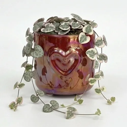 Plant and Stories Coeur cache-pot céramique 6cm blanc nacré