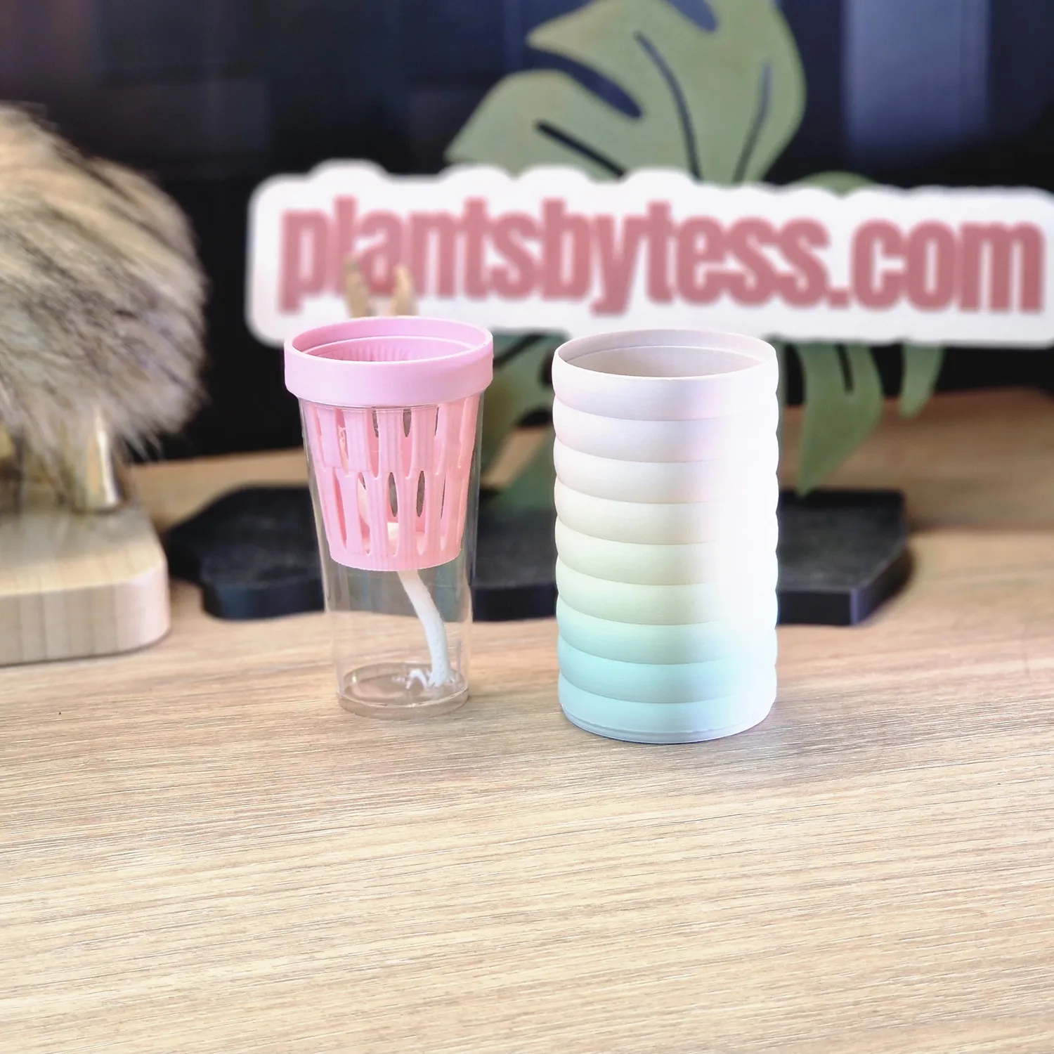 plant.ess Mini Sips cache-pot Marshmallow rose 9cm 3D