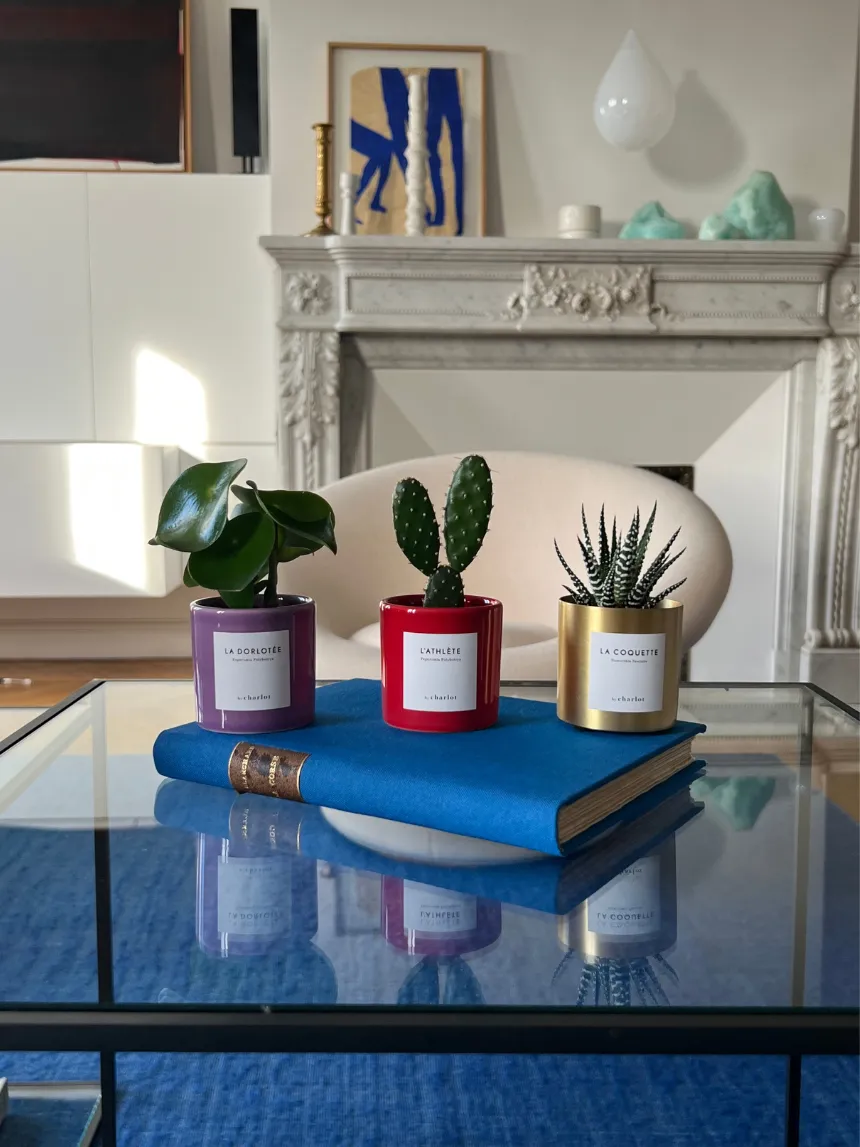 By Charlot L'Athlète mini cactus Opuntia pot XXS 6 cm