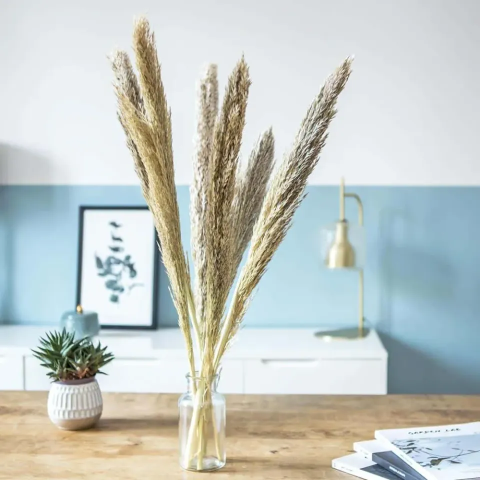 Réconciliation Végétale miscanthus botte fleurs séchées naturel 6 tiges