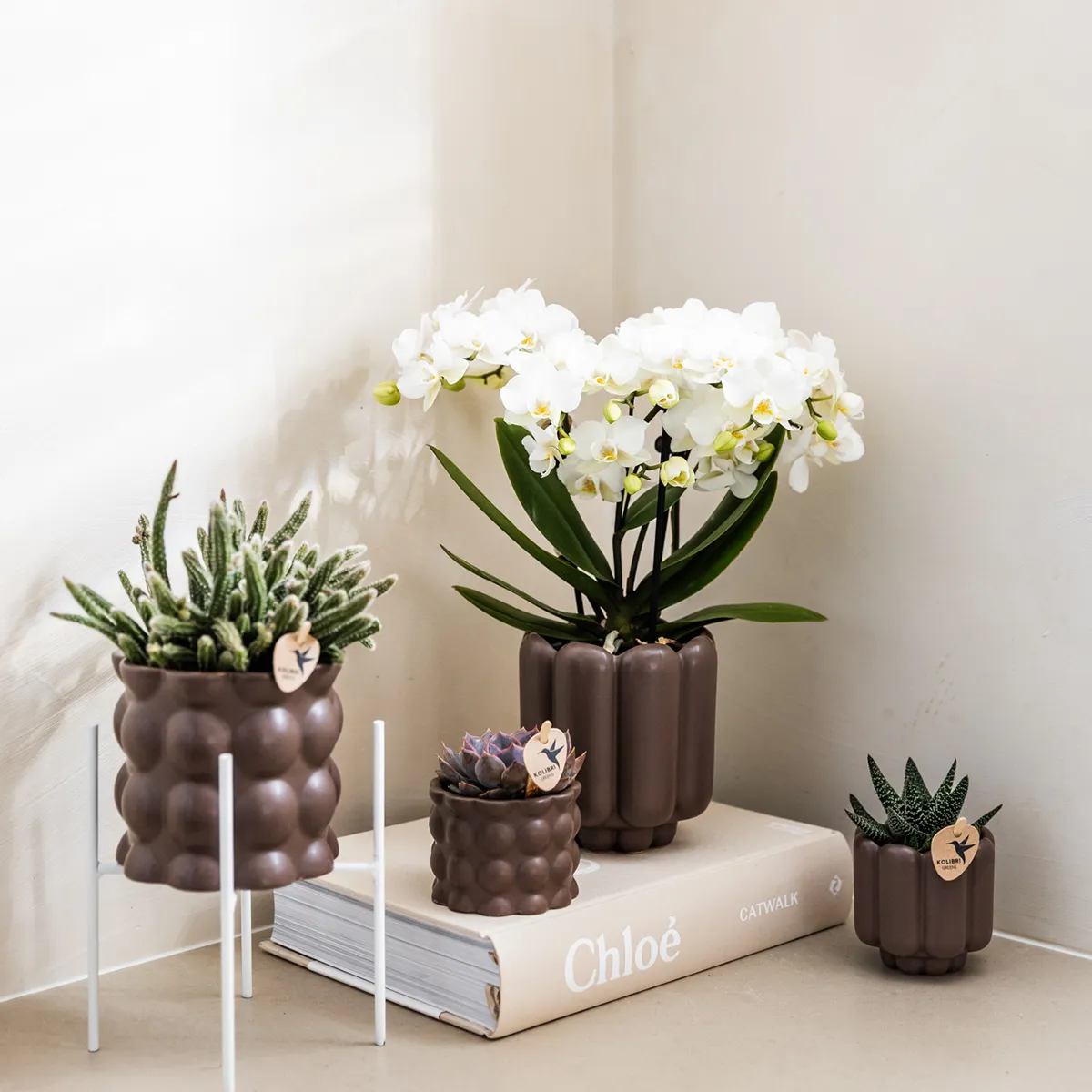 Plant and Stories cache-pot céramique mat 9 cm sable