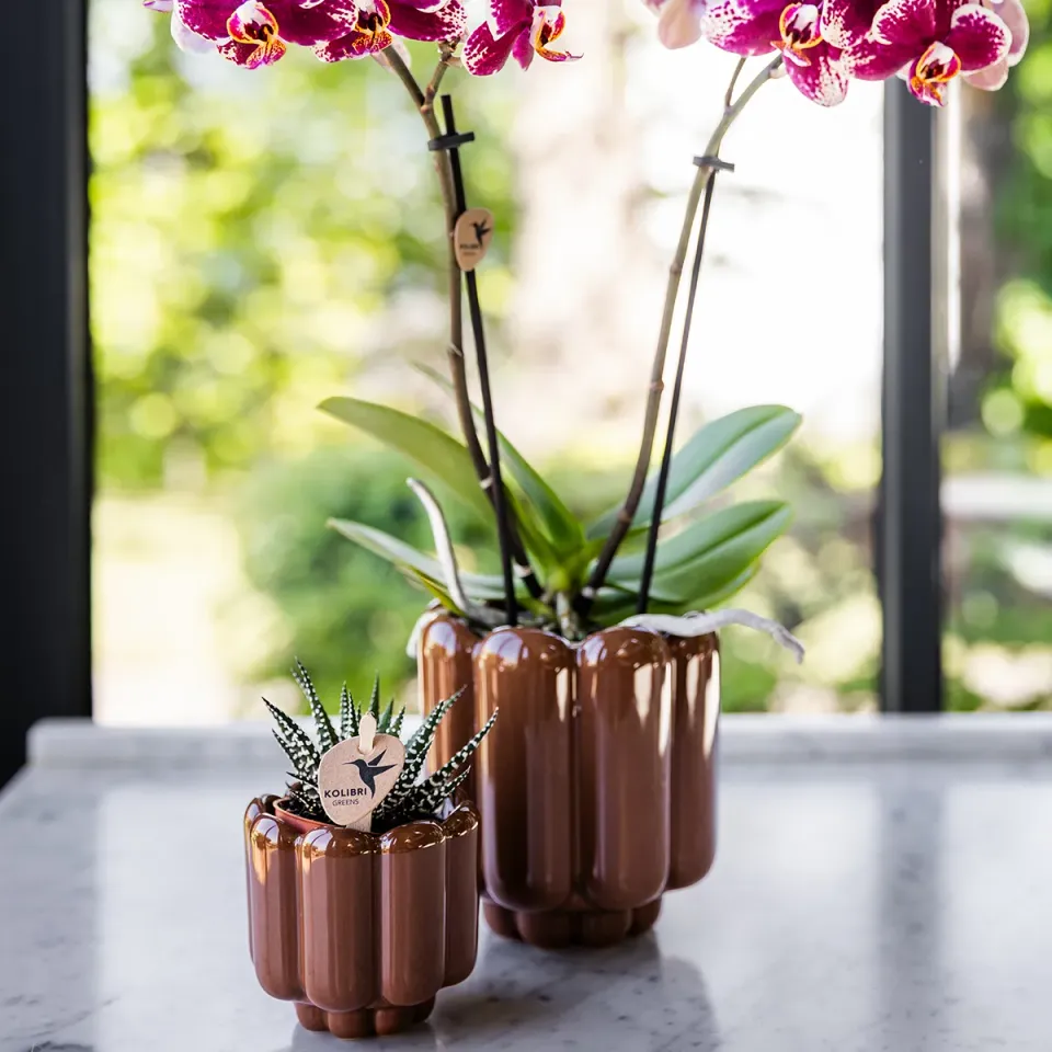 Plant and Stories Retro Shine cache-pot céramique 12 cm rouge