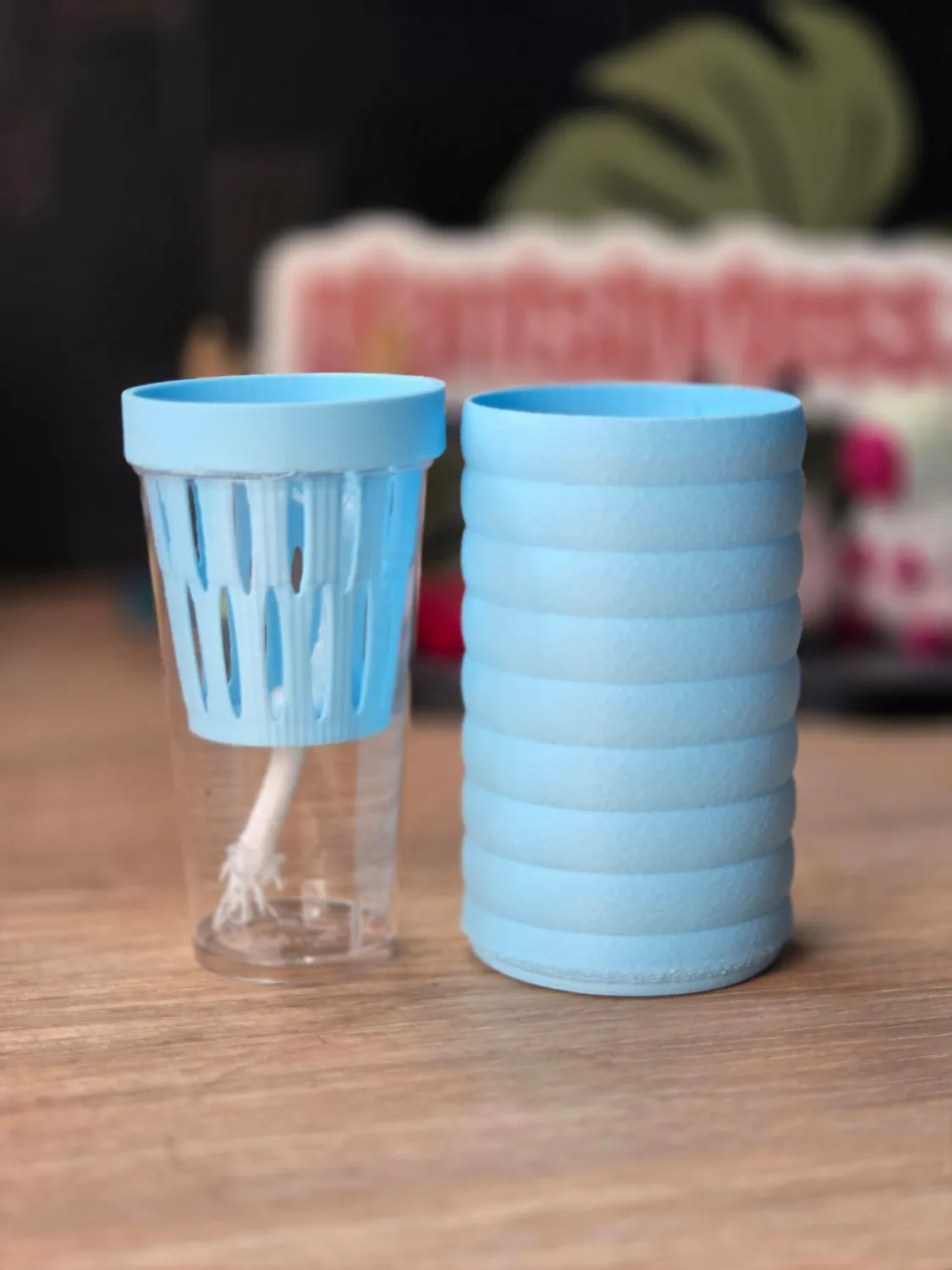 plant.ess Mini Sips set pot auto-arrosant complet 5 cm