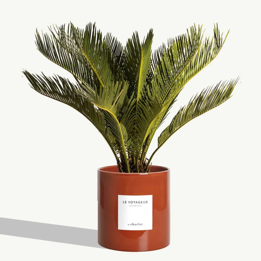 By Charlot Céramique cache-pot marron fauve 18 cm