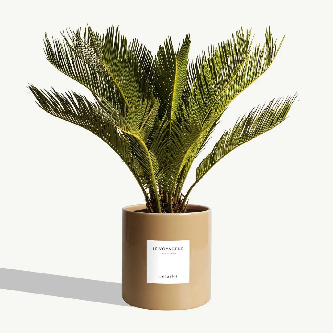 By Charlot Beige Sable cache-pot céramique 18 cm