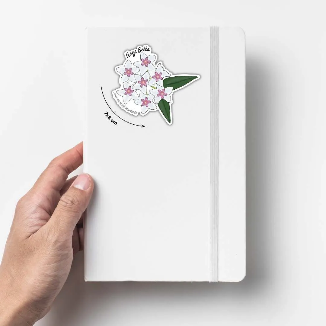 Plant and Stories Hoya Mathilde carte plante avec sticker