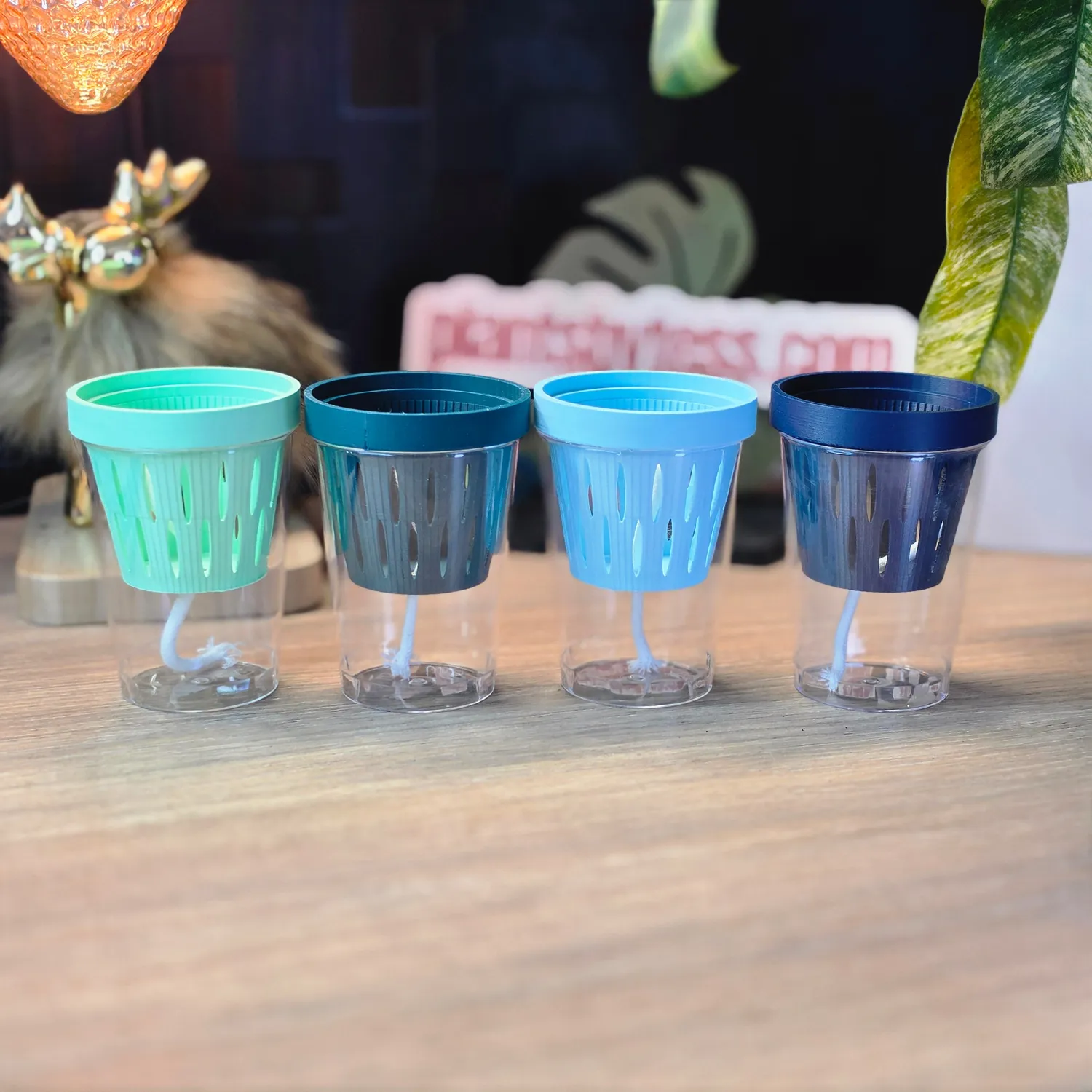 plant.ess MIDI SIPS pot auto-arrosant lot 4 Multi Color 8x6 cm