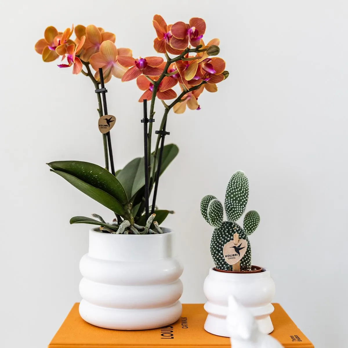 Plant and Stories cache-pot céramique blanc bulles 9 cm graphique