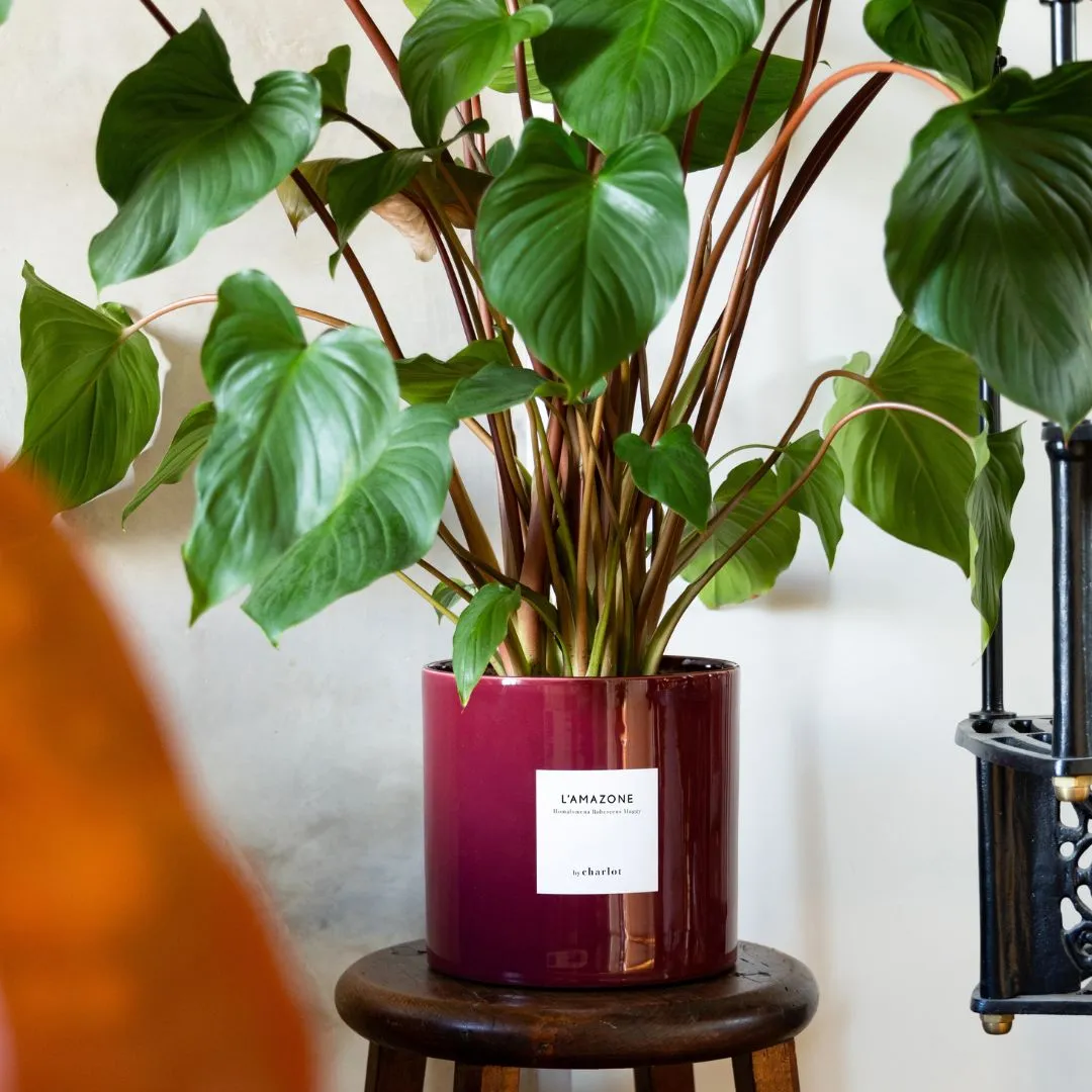 By Charlot cache-pot céramique sorbet cassis 24 cm