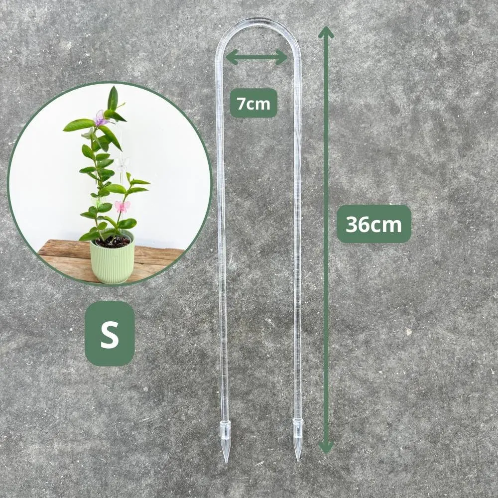 Plant and Stories Hoya tuteur arche acrylique transparent taille S