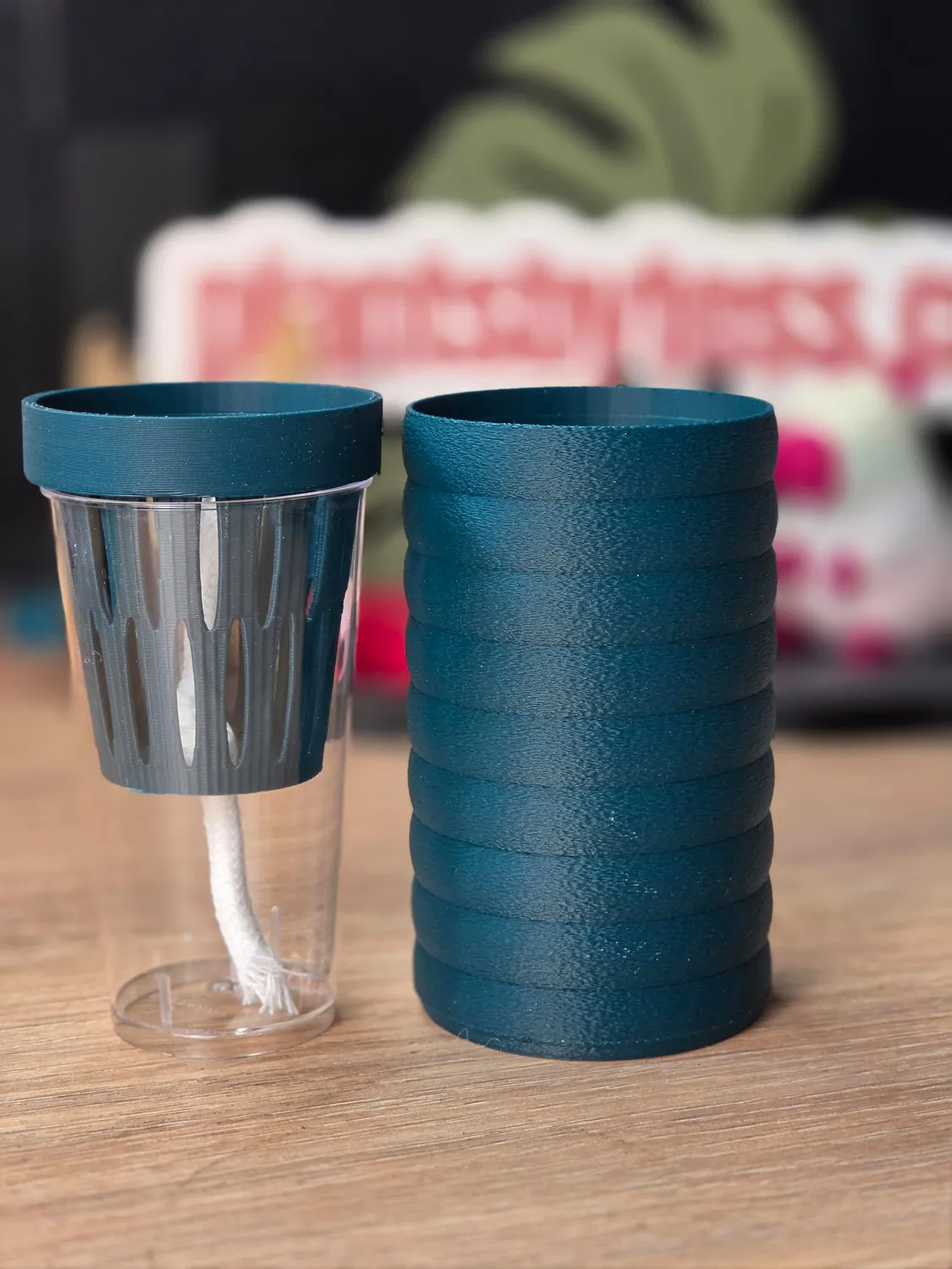 plant.ess Mini Sips set pot auto-arrosant complet 5 cm
